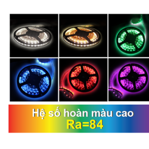 VinaLED Led dây 5050, 60 led, IP65 / IP67 - FSB-5050-IP65-L60/ FSB-5050-IP65-L60R/ FSB-5050-IP67-L60/ FSB-50