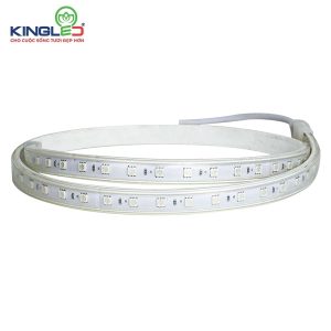 KingLED ĐÈN LED DÂY RGB - EC-LD-7-5050-RGB